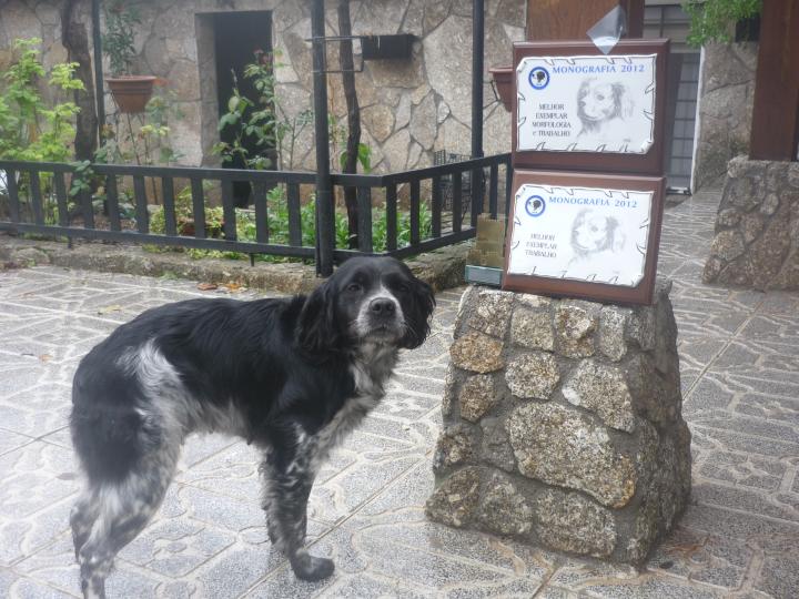 China de Peñalobera MONOGRÁFICA PORTUGAL